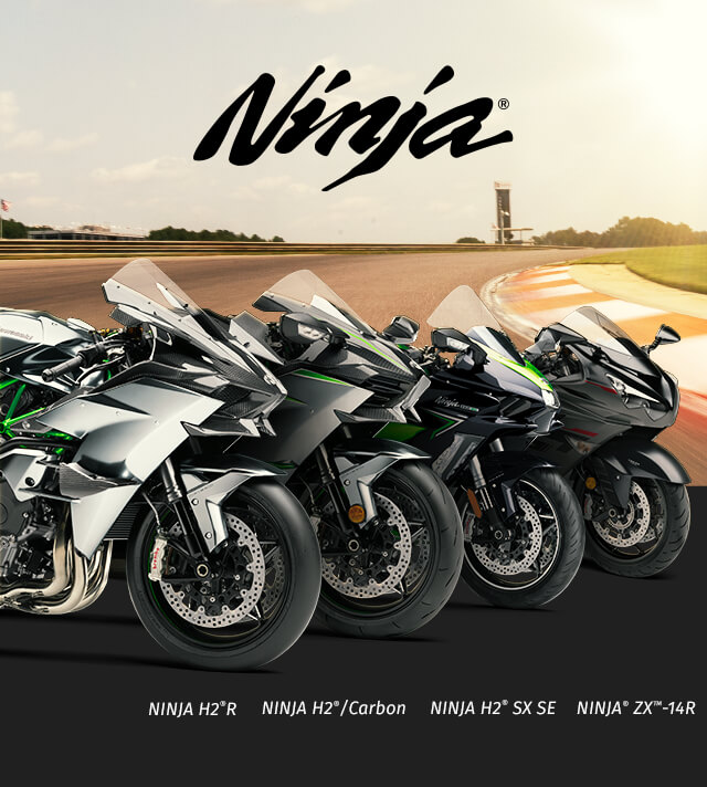 Ninja FAMILY: Ninja IMAGE
