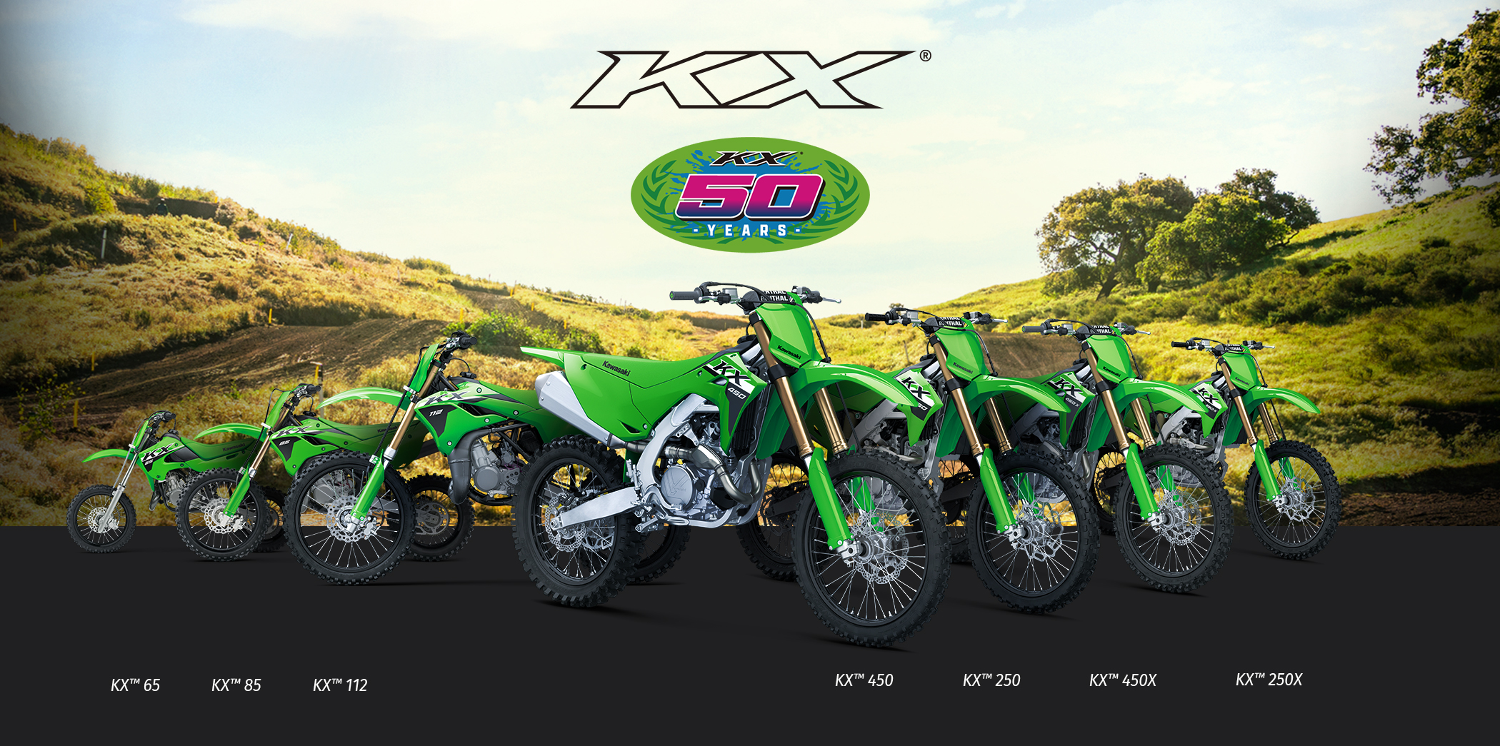 KX FAMILY: KX65 KX85 KX100 KX450 KX250 KX450X KX250X