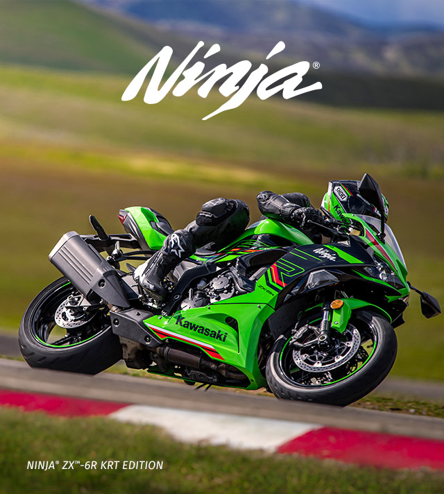 Ninja FAMILY: Ninja IMAGE
