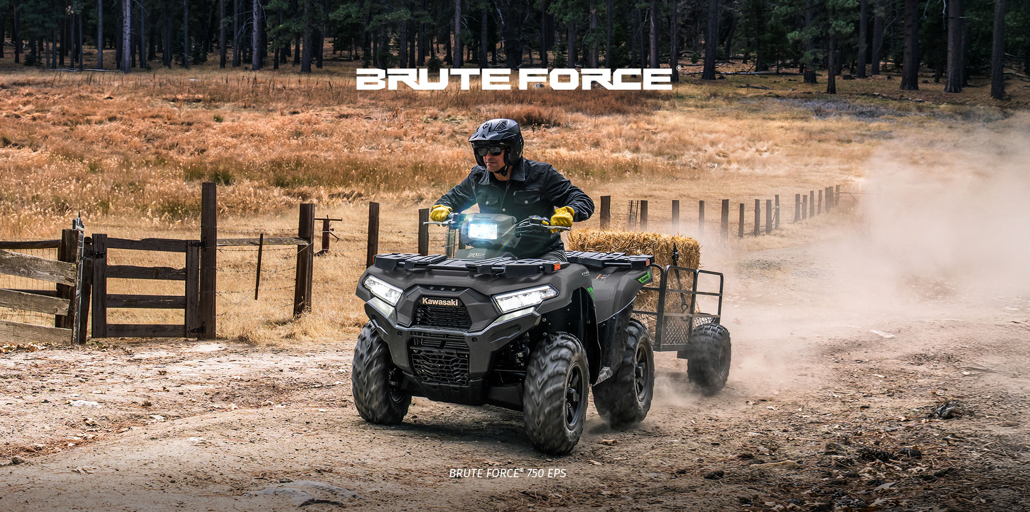 Brute Force FAMILY: 