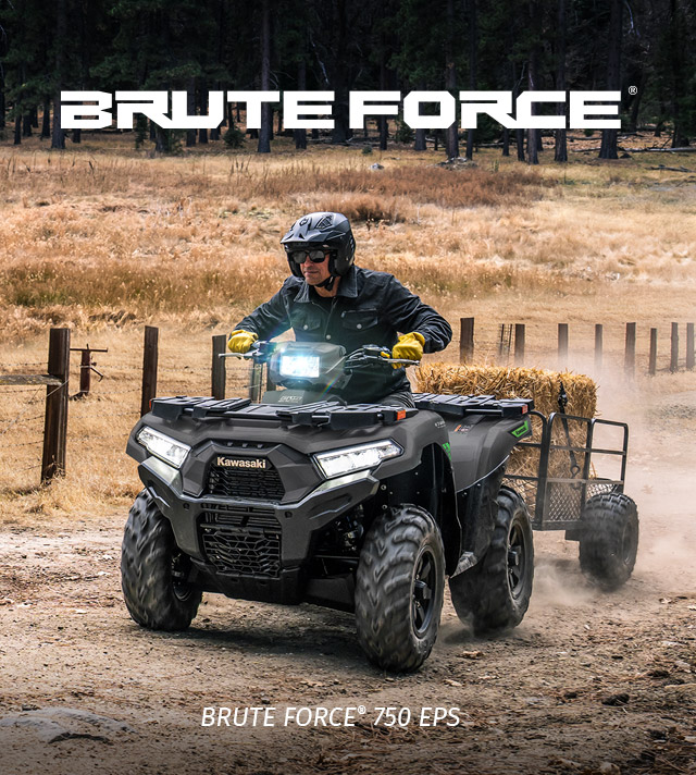 Brute Force FAMILY:  SMALL IMAGE